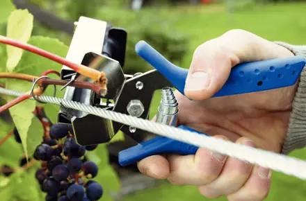 Agrafes Pour Vigne Aluminium Rapid C50 - 4-14mm - Lot De 4200 Pièces