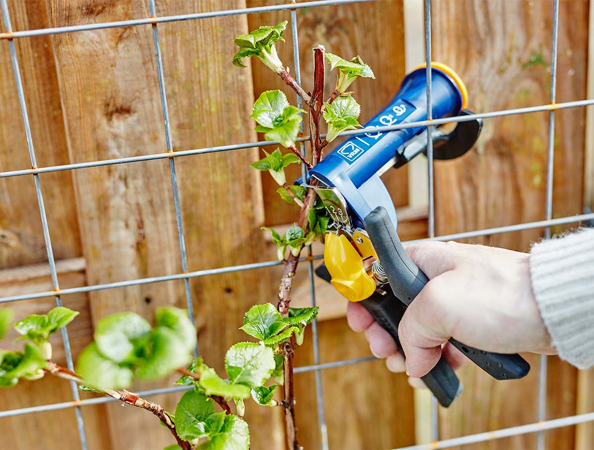 Fence and Garden Tools